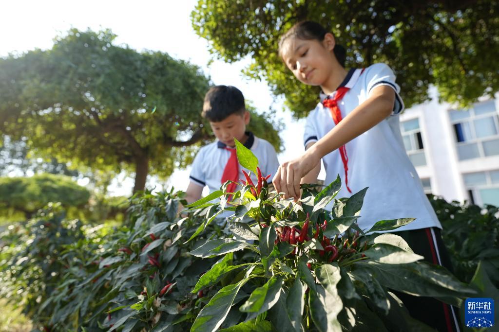 在线购彩信誉平台